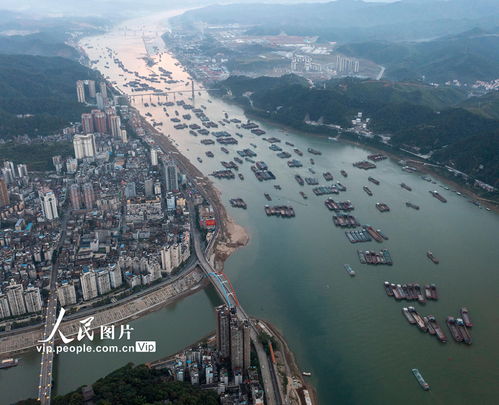 廣西梧州 西江貨運忙